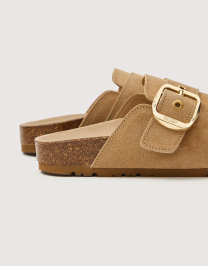 Camel