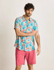 Multicolour