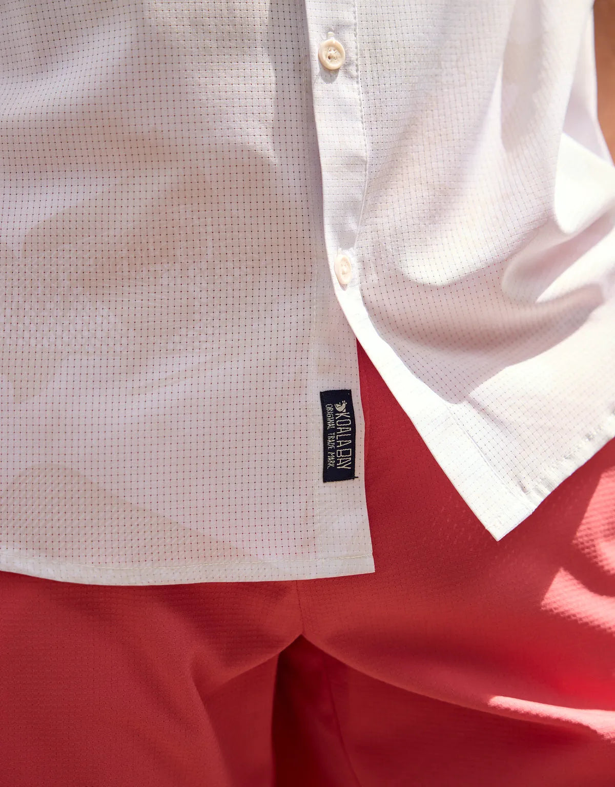 Regular Fit Shirt – Shirt Collar – Fish Print Off-White