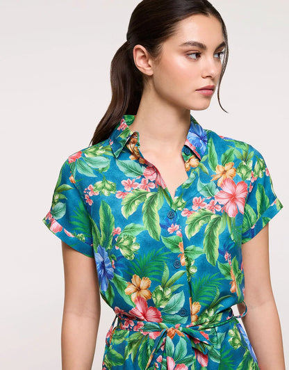 Multicolour